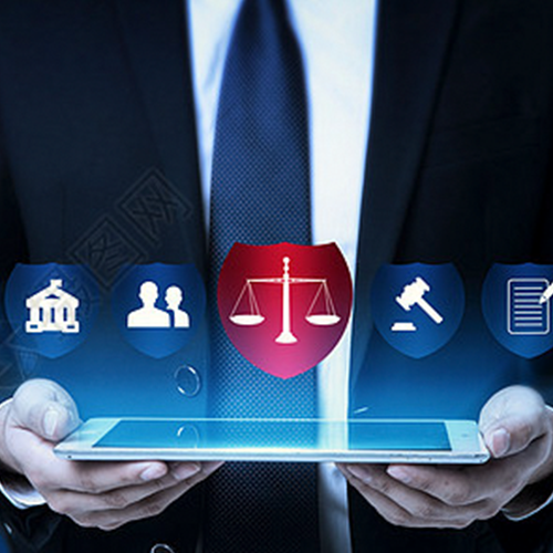 政府公共服务法律